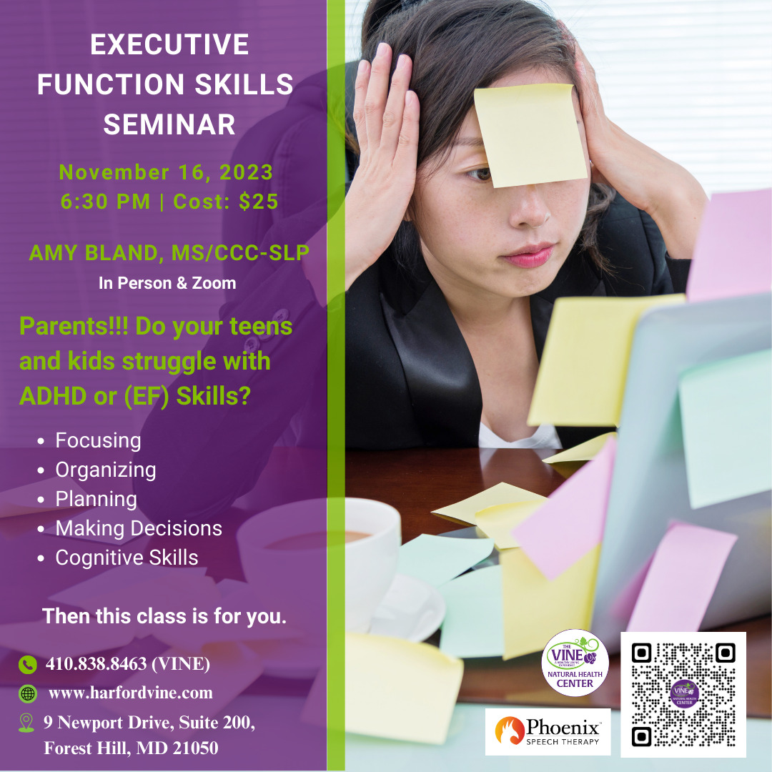 Executive Functional Skills Seminar