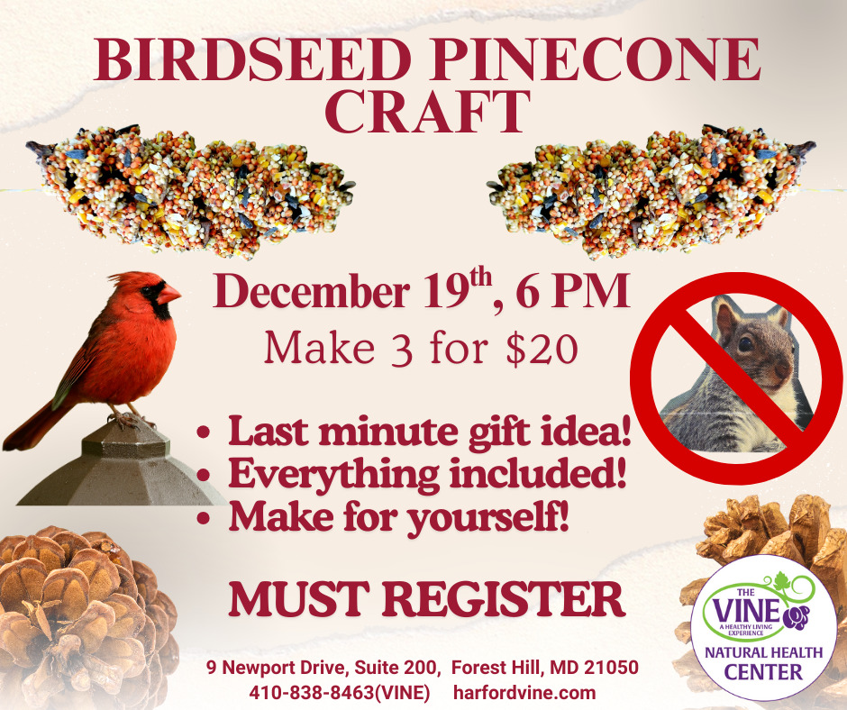 Birdseed Pinecone Craft Class